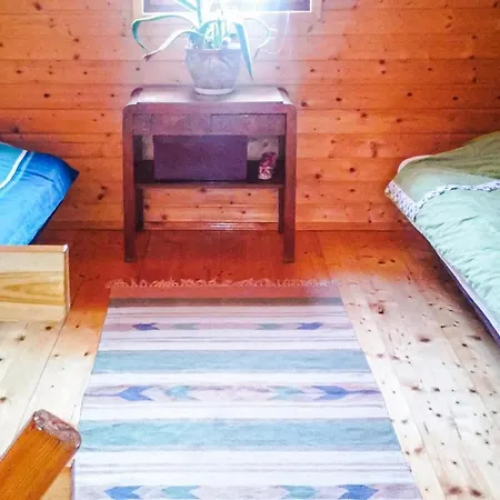 Pet Friendly In Zalewo With View
